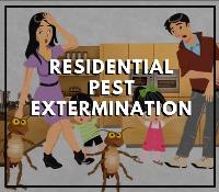 Pest Control Redland Bay image 6