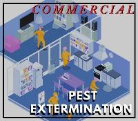 Pest Control Redland Bay image 2