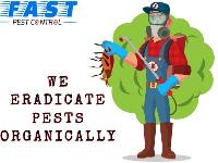 Pest Control Redland Bay image 3