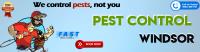 Pest Control Windsor image 3