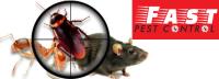 Pest Control Windsor image 2