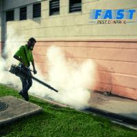 Pest Control Caboolture image 9