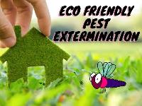 Pest Control Caboolture image 3