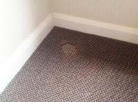 Carpet Repairs Restretching image 1