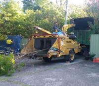 John's Tree Services North Shore image 7