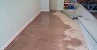 Clean Master Flood Damage Restoration Brisbane image 2