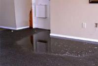 Clean Master Flood Damage Restoration Melbourne image 2