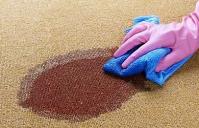 Clean Master Melbourne - Carpet Cleaning Melbourne image 2