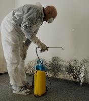 Sydney Carpet Cleaning and Restoration image 13