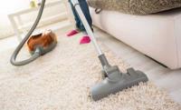 OZ Carpet Cleaning Hobart image 1