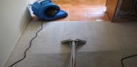 OZ Carpet Cleaning Brisbane image 1