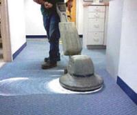 OZ Carpet Cleaning Brisbane image 3