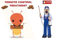 Termite Removal Brisbane image 1