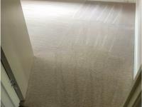 Carpet Cleaning Pimpama image 7