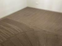 Carpet Cleaning Pimpama image 8