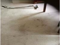 Carpet Cleaning Werribee image 2