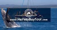 HerveyBayTour.com image 4