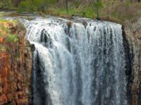 Daylesford Macedon Life image 2