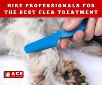 Ace Flea Removal Brisbane image 3