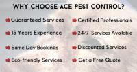 Ace Flea Removal Brisbane image 4