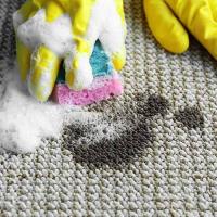 Carpet Cleaning Melbourne image 3