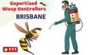 Wasp Removal Brisbane logo