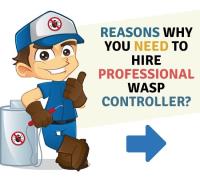 Wasp Removal Brisbane image 2