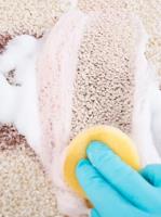 Carpet Cleaning Brisbane image 1