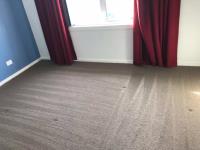 Carpet Cleaning Caboolture image 2