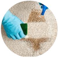 Carpet Cleaning Logan image 4