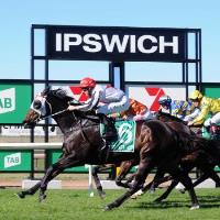 Ipswich Turf Club image 2