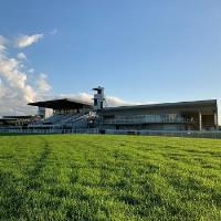 Ipswich Turf Club image 3