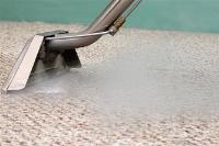 Carpet Cleaning Kangaroo Point image 4