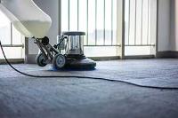 Carpet Cleaning Mount Waverley image 4