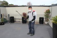 Tom’s Pest Control image 3