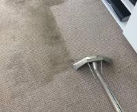 Carpet Cleaning Gisborne image 5