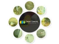 Carpet Cleaning Amaroo  image 1