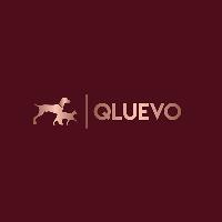 Qluevo image 1