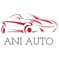 Ani Auto image 1