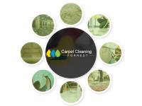 Carpet Cleaning Forrest image 2