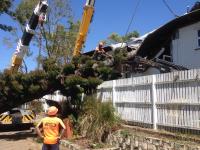 Total Tree Services image 2