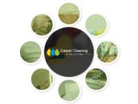 Carpet Cleaning Athelstone image 1