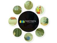 Carpet Cleaning Aberfoyle Park image 2