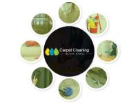 Carpet Cleaning Blair Athol image 2