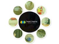 Carpet Cleaning Munno Para image 2