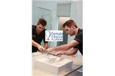 Female Choice Plumbing image 24