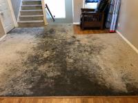 Carpet Cleaning Kallangur image 5