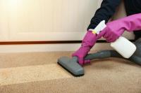 Carpet Cleaning Newstead image 2