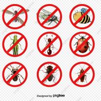 Pest Control Langwarrin image 2