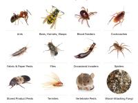 Marks Pest Control Melbourne image 4